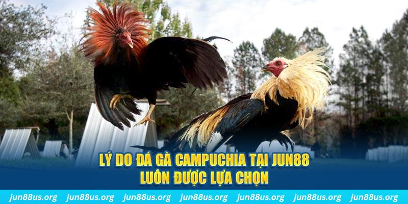 k88bet nổ hủ máy bay
