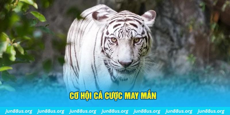 k88bet hết slot la gì