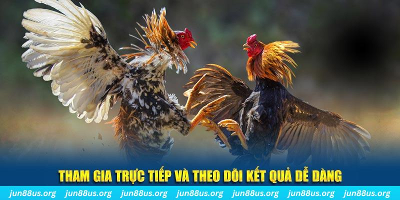 k88bet đá gà trực tiếp bình luận viên