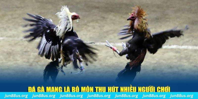 xổ số cà mau