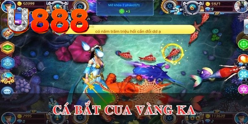 k88bet đăng nhập phỏm uy tín