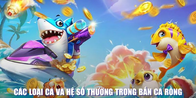 k88bet loi game dot kich ket noi may chu that bai