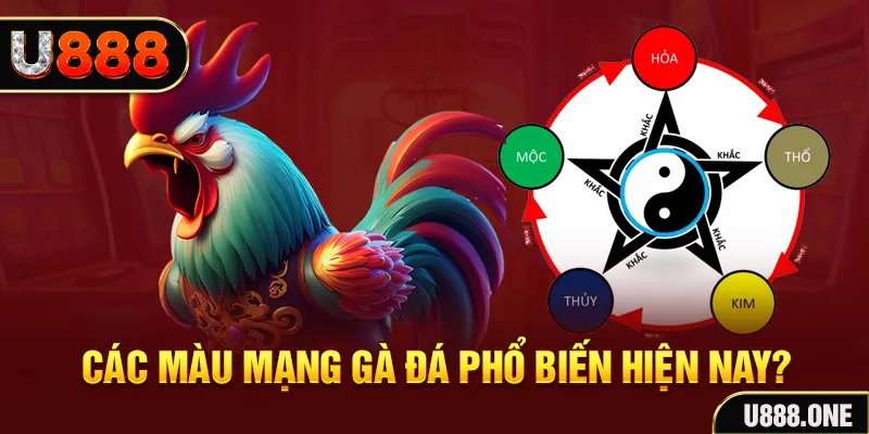 k88bet đăng nhập mậu binh