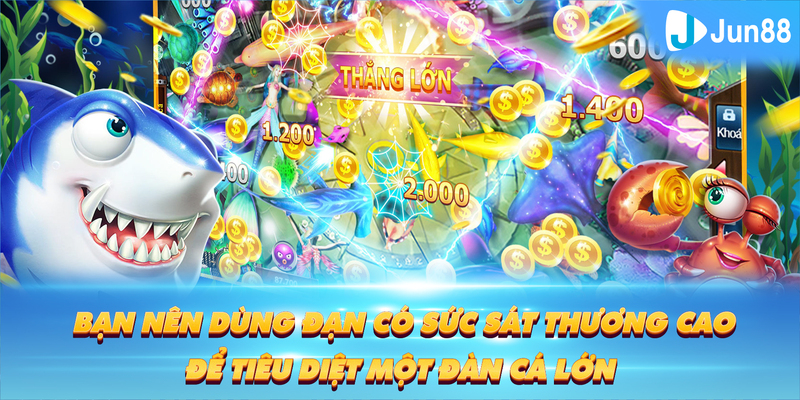 k88bet Tung Đồng Xu