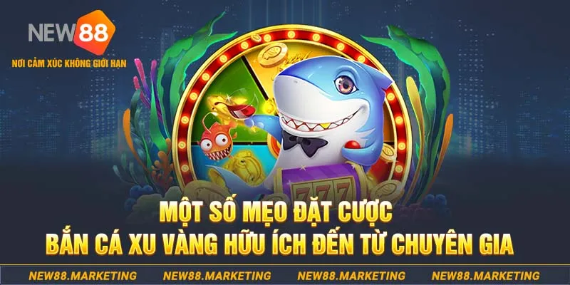 k88bet Tài Xỉu