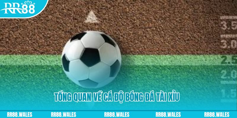 k88bet đăng nhập lô đề online