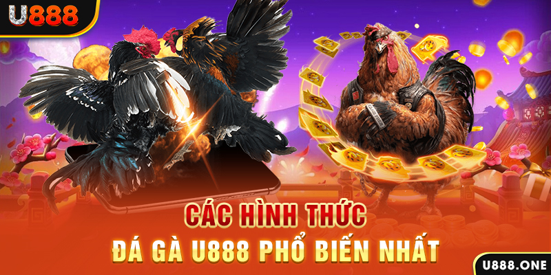 DB Trực Tuyến
