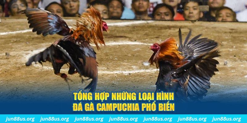 k88bet ON Trực Tuyến