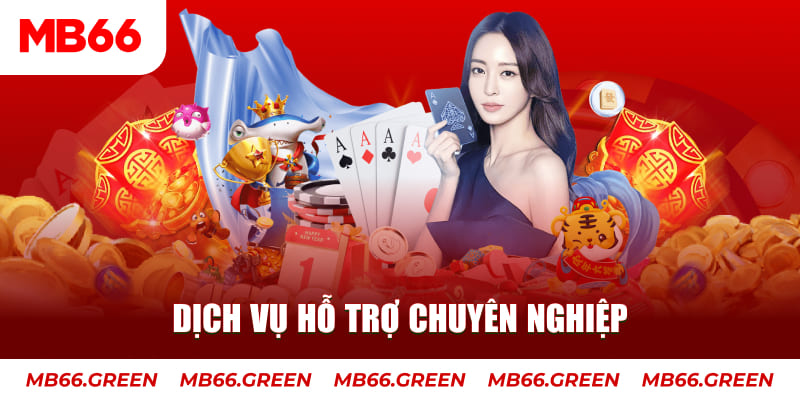 k88bet AOG Đá Gà