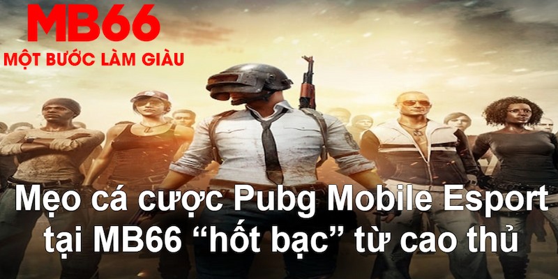 k88bet gà chọi mộc hóa