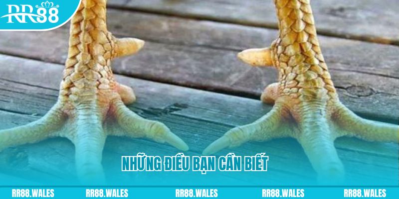 k88bet đăng nhập liêng hàng đầu