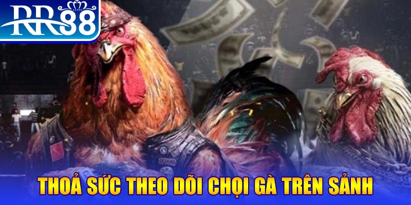 k88bet đá gà 88.com