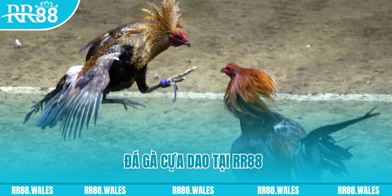 k88bet đăng nhập nổ hũ dễ thắng